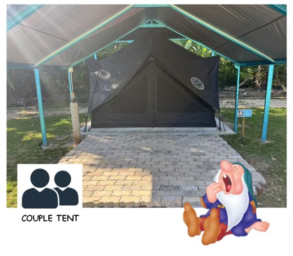 Dwarf 7